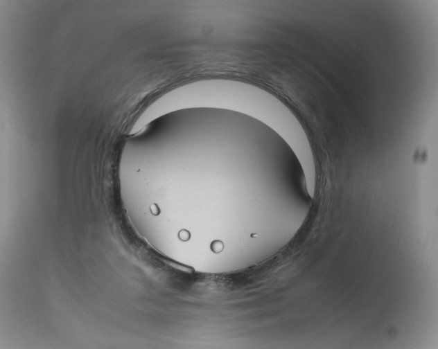 X0000112510211200909141207