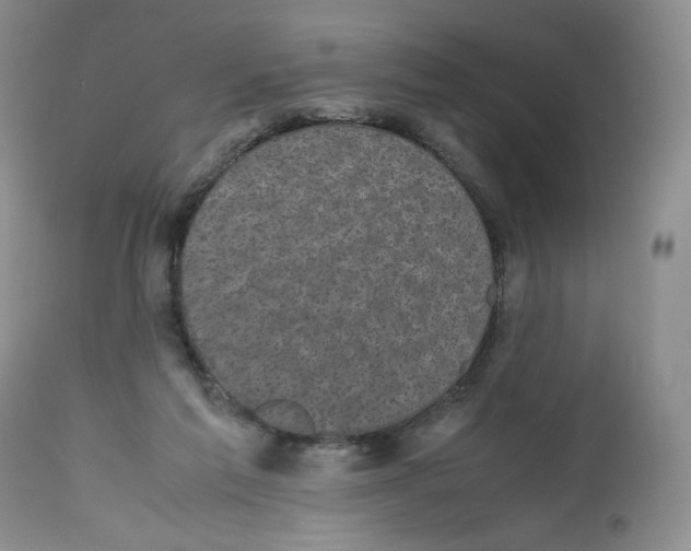 X0000112510213200909141207