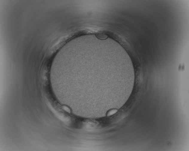 X0000112510215200909141207