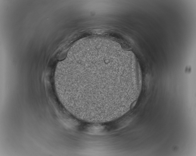 X0000112510217200909141207