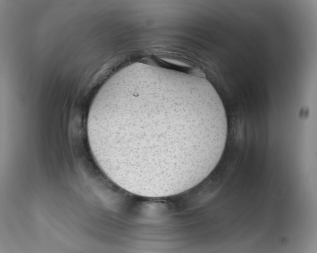 X0000112510220200909141207