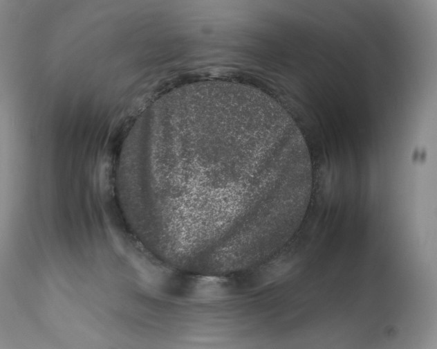 X0000112510222200909141207