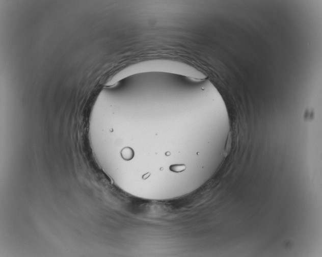 X0000112510223200909141207