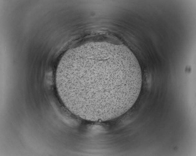 X0000112510224200909141207