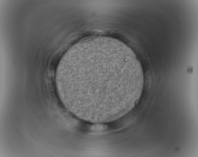 X0000112510225200909141207