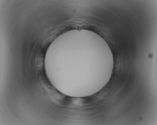 X0000112510226200909141207