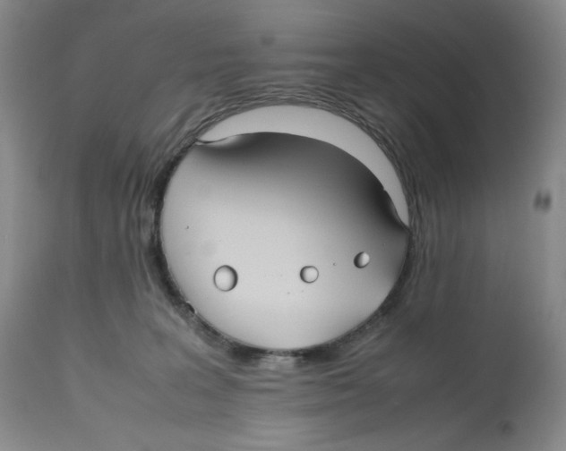 X0000112510227200909141207