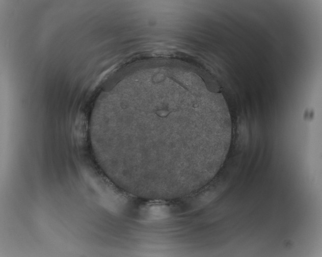 X0000112510228200909141207