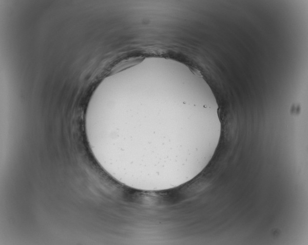 X0000112510229200909141207