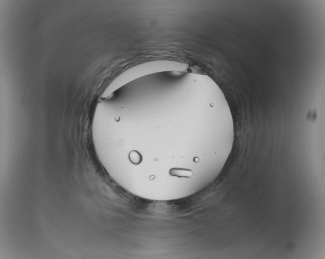 X0000112510231200909141207