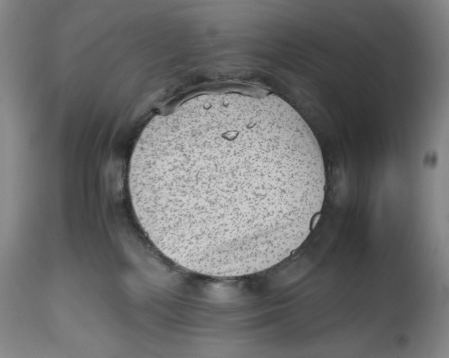 X0000112510232200909141207