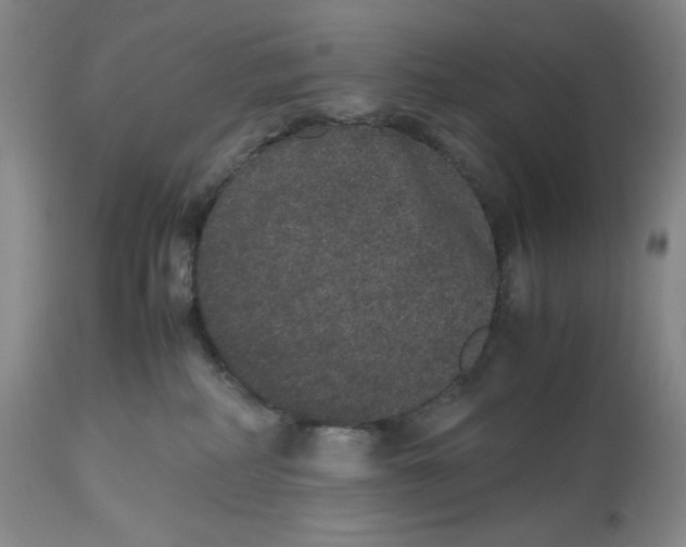 X0000112510234200909141207