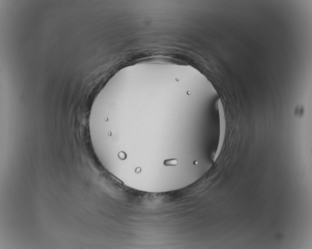 X0000112510235200909141207