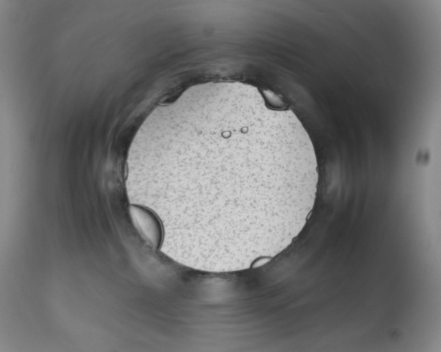 X0000112510236200909141207