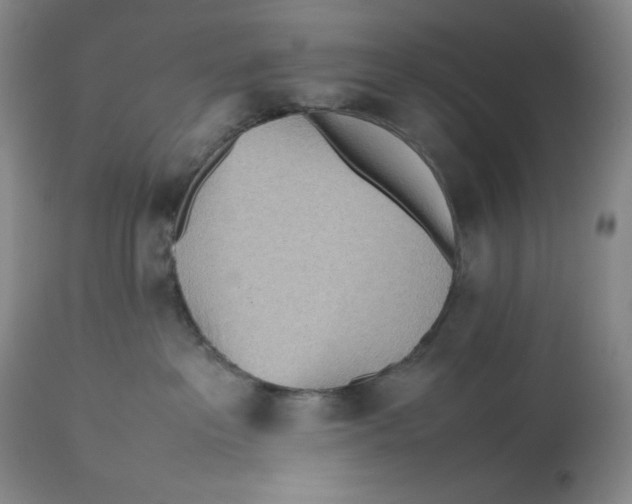 X0000112510237200909141207