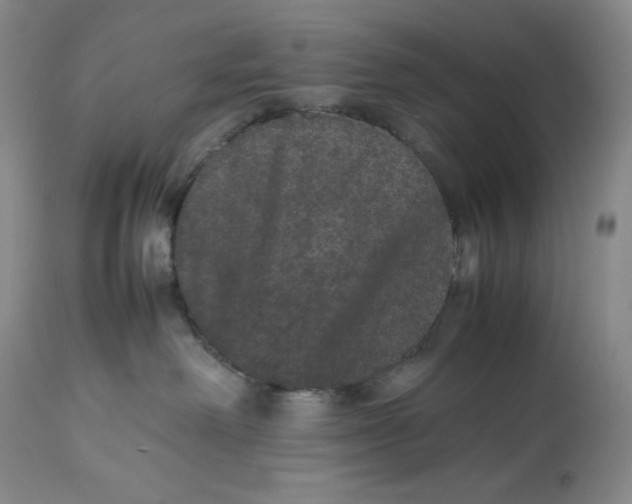 X0000112510238200909141207