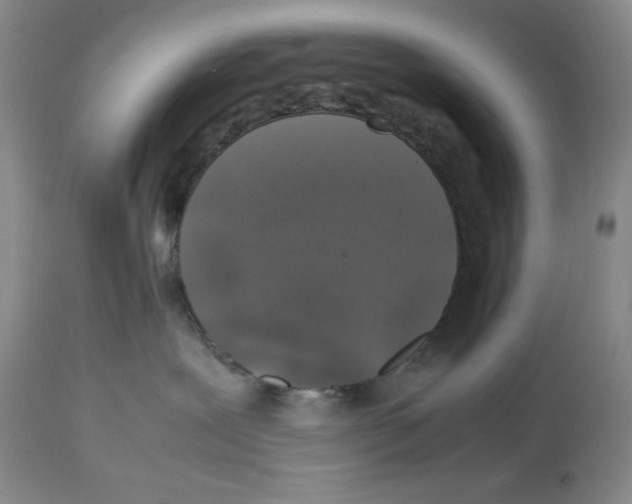 X0000112510239200909141207