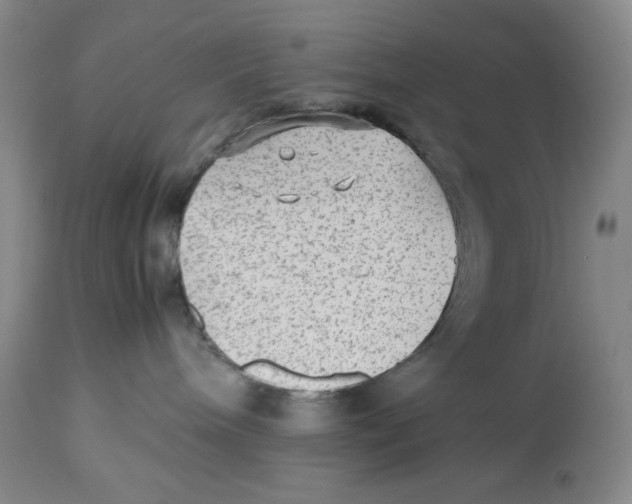 X0000112510240200909141207