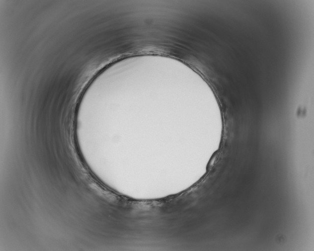 X0000112510241200909141206