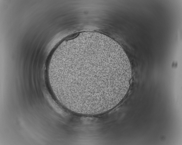 X0000112510242200909141206