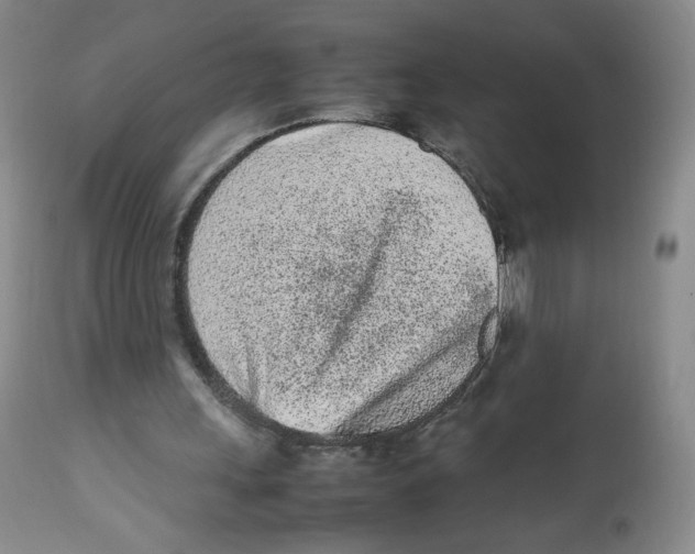 X0000112510243200909141206