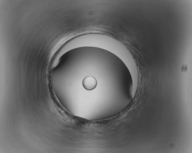 X0000112510244200909141206