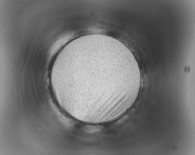 X0000112510245200909141206