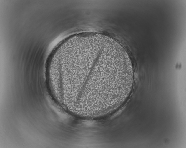 X0000112510246200909141206