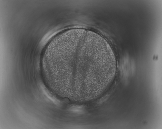 X0000112510247200909141206