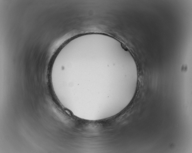 X0000112510248200909141206