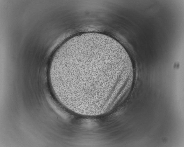 X0000112510250200909141206