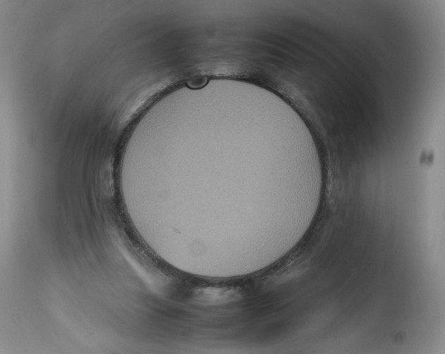 X0000112510251200909141206