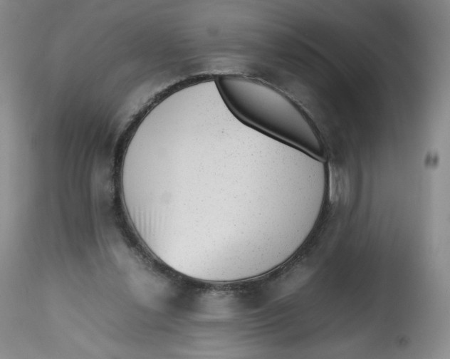 X0000112510252200909141206