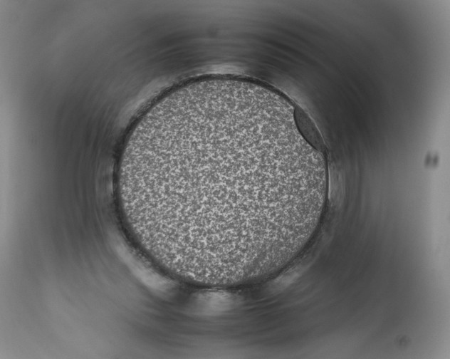 X0000112510253200909141206