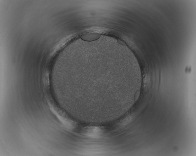 X0000112510254200909141206