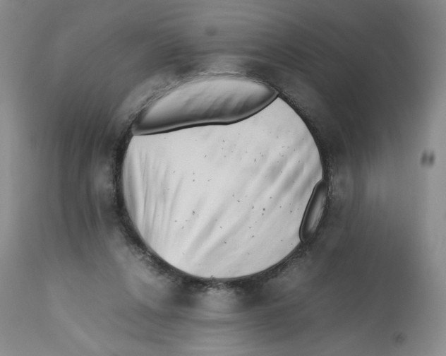 X0000112510256200909141206