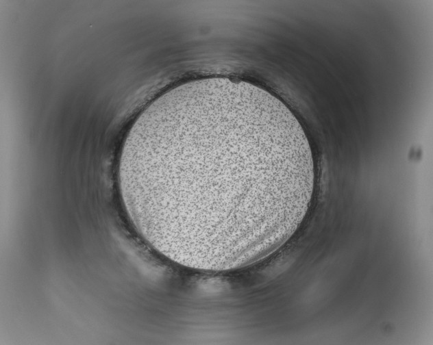 X0000112510258200909141206