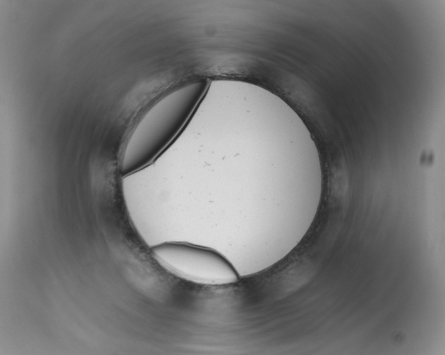 X0000112510260200909141206