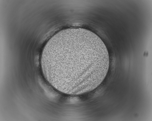 X0000112510262200909141206