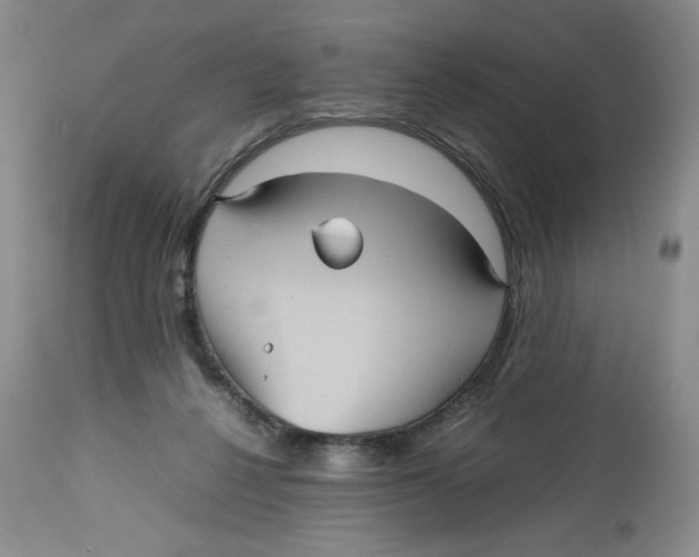 X0000112510264200909141206