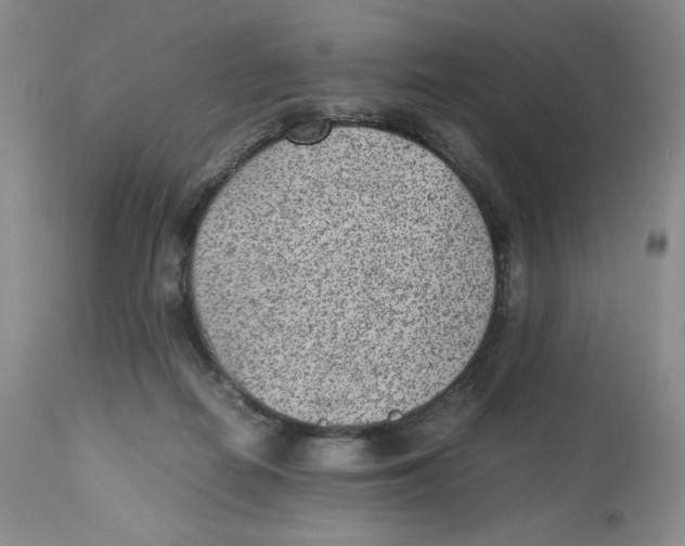 X0000112510266200909141206