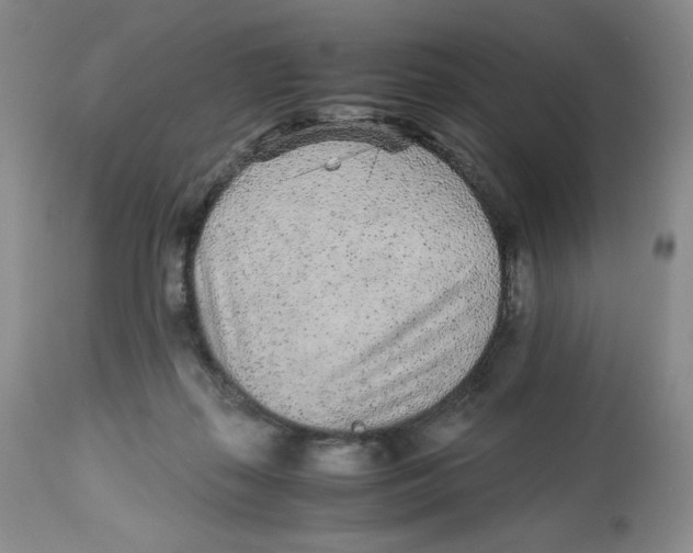 X0000112510267200909141206