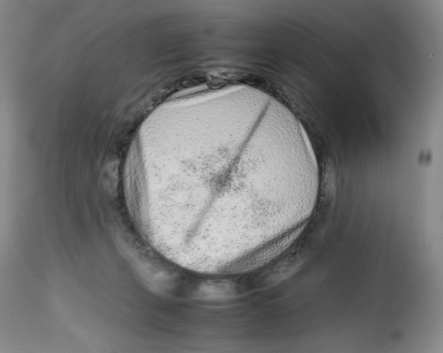 X0000112510271200909141206