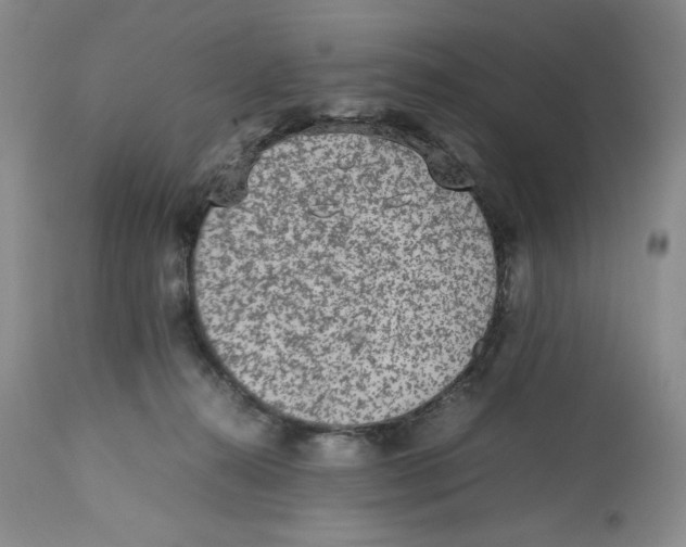 X0000112510272200909141206