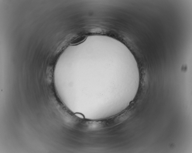 X0000112510273200909141206