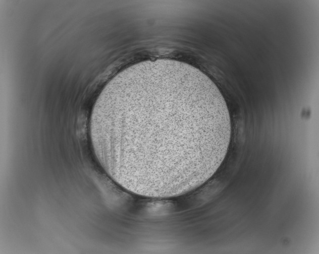 X0000112510274200909141206