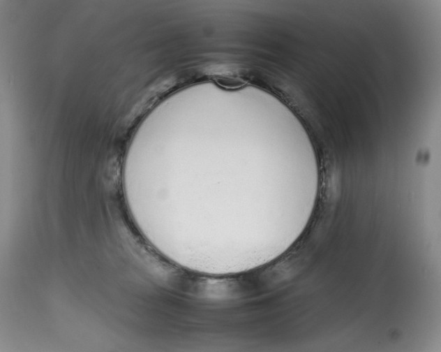 X0000112510277200909141206