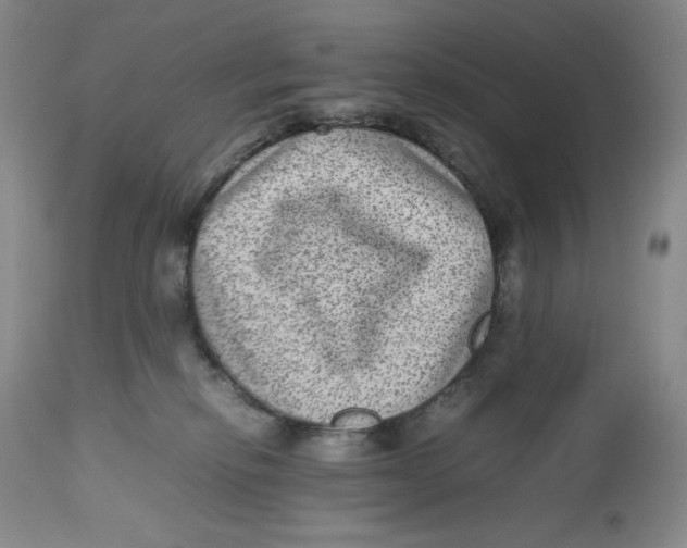 X0000112510278200909141206