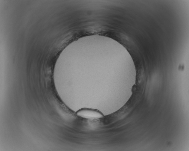 X0000112510279200909141206