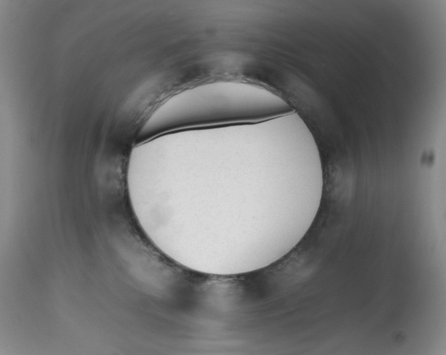 X0000112510280200909141207